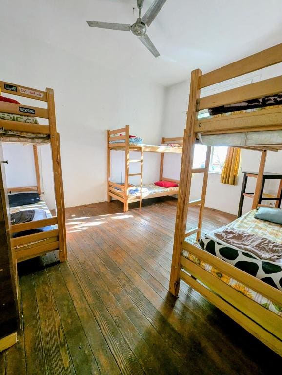 Bed in 6-Bed Mixed Dormitory Room room - Image 3