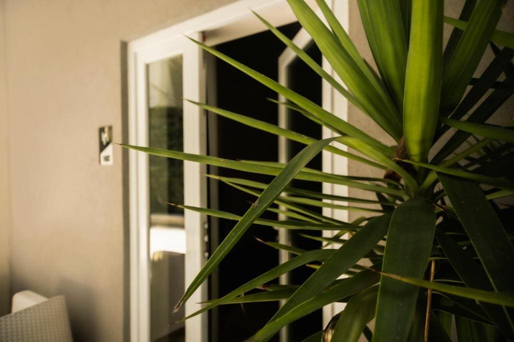 Deluxe Double or Twin Room with Garden View room - Image 1