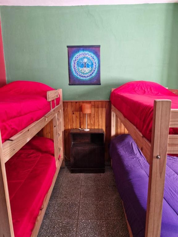 Single Bed in Dormitory Room room - Image 2