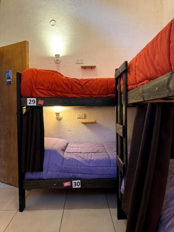 6-Bed Mixed Dormitory Room room - Image 1