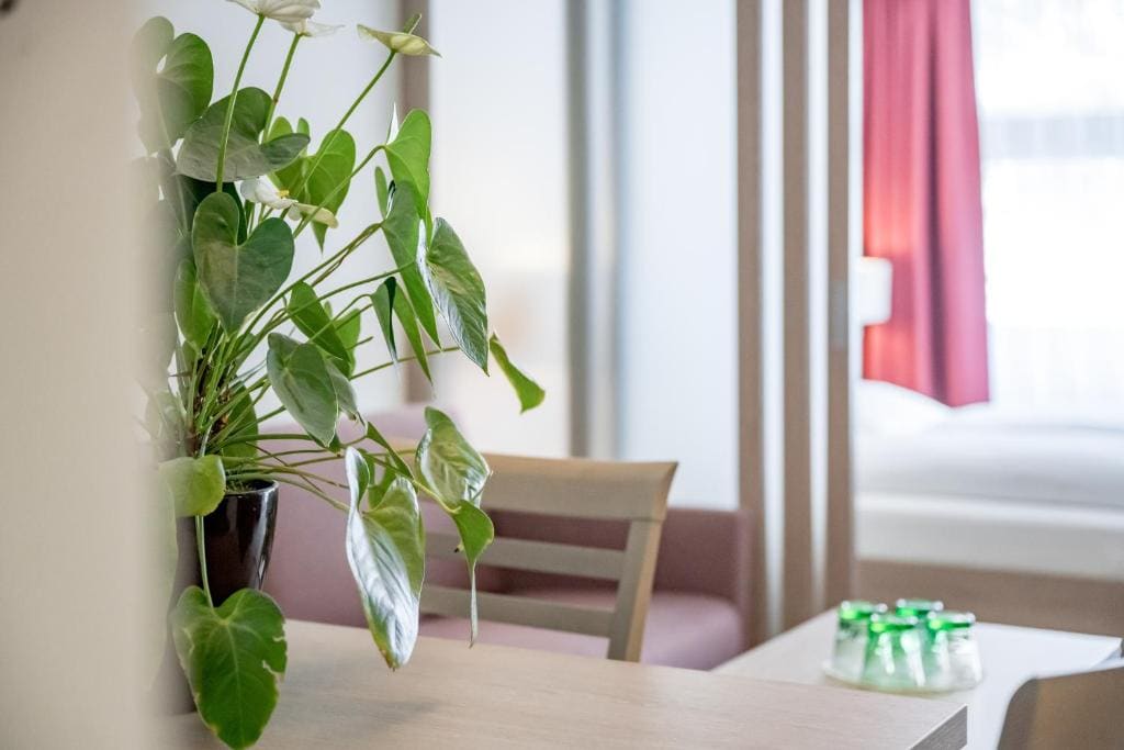 Standard Family Room room - Image 1