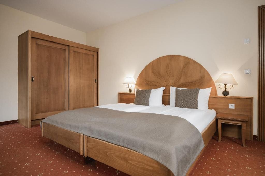 Deluxe Suite room - Image 2