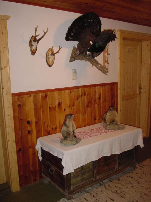 Single Room with External Bathroom room - Image 1