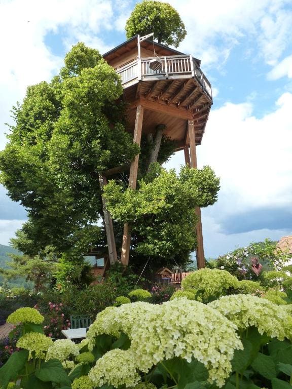 Superior Chalet room - Image 2