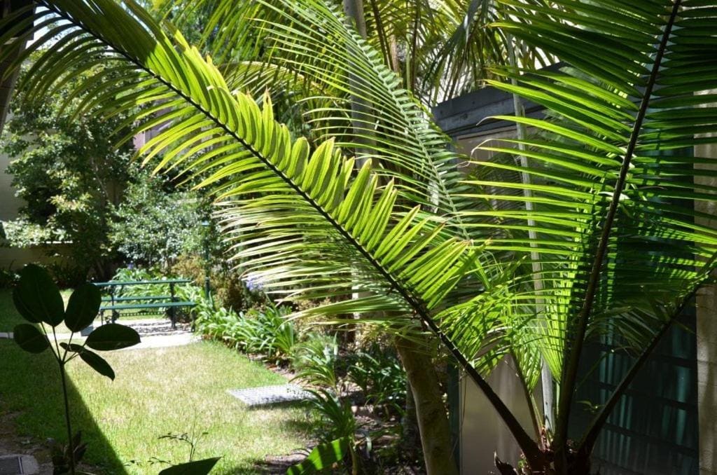 Double Room with Garden View room - Image 1