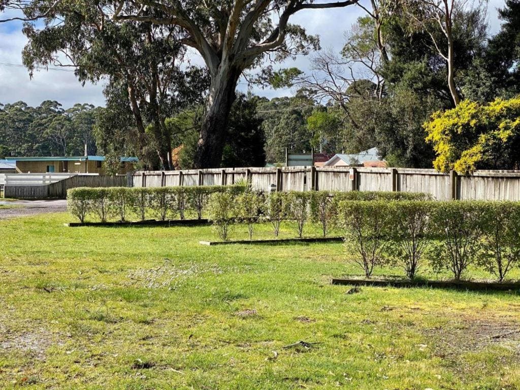 Large Grass Powered Site - No Bed Provided room - Image 1