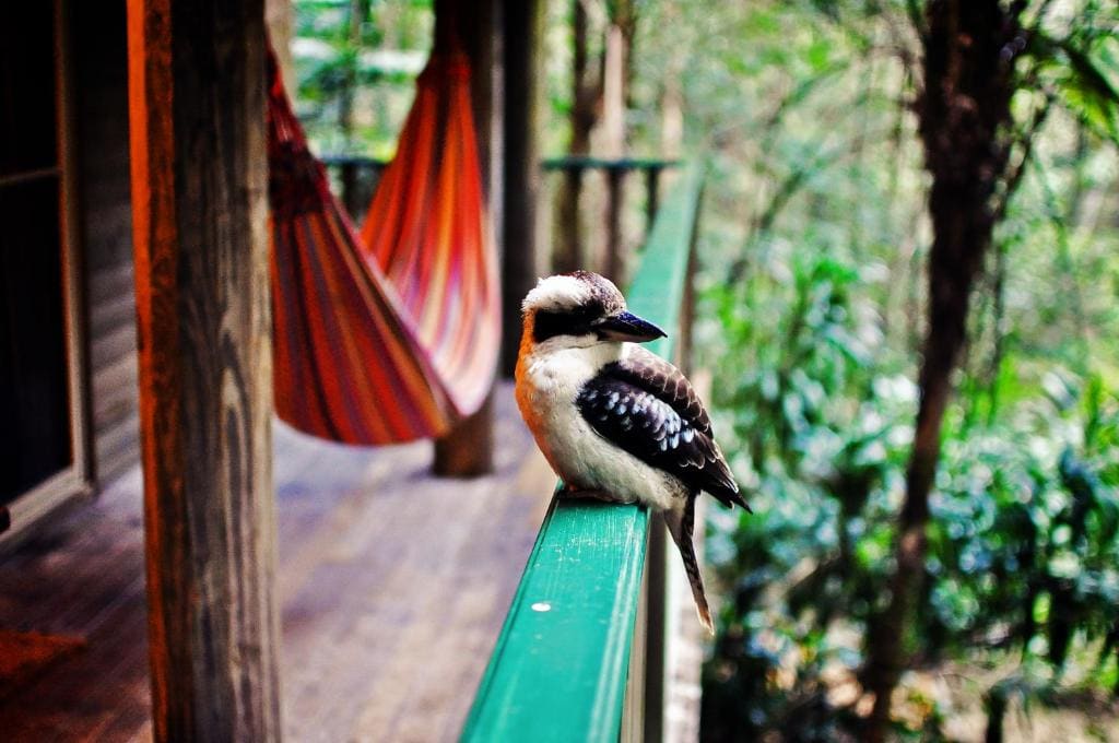 Rainforest Villa room - Image 2