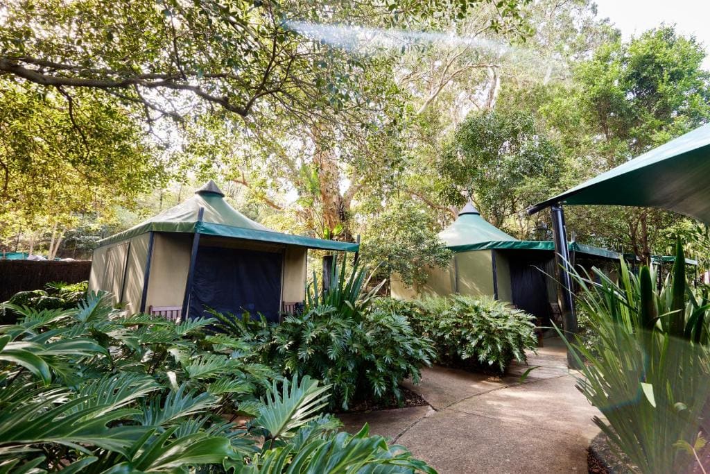 Tent room - Image 2
