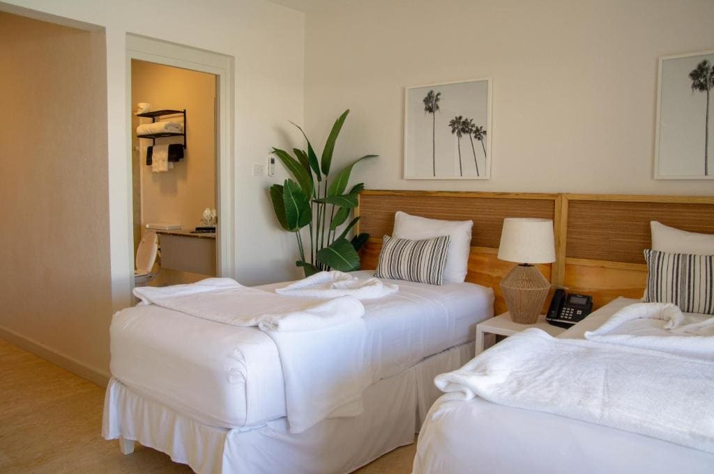 Standard Suite room - Image 1