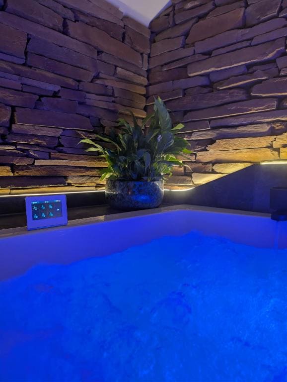 Deluxe Suite with Spa Bath room - Image 3