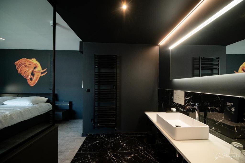 Deluxe Twin Room room - Image 2