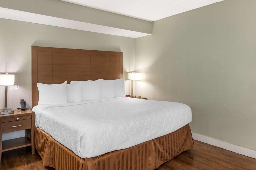 King Room with Bathtub - Mobility Access/Non-Smoking room - Image 1