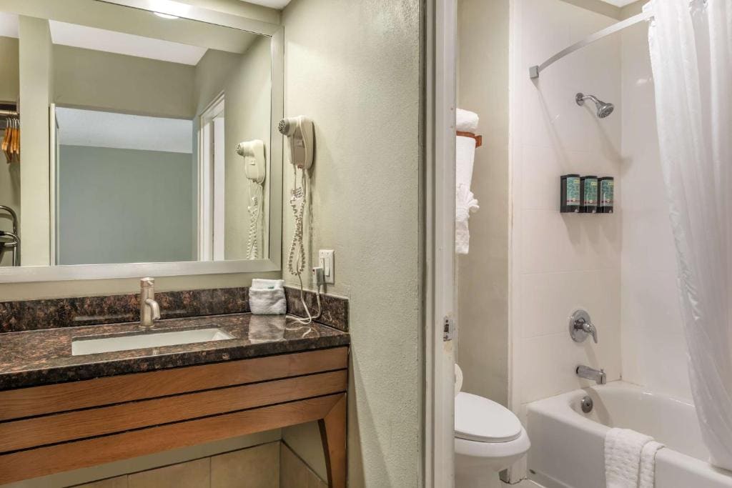 King Room with Bathtub - Mobility Access/Non-Smoking room - Image 2