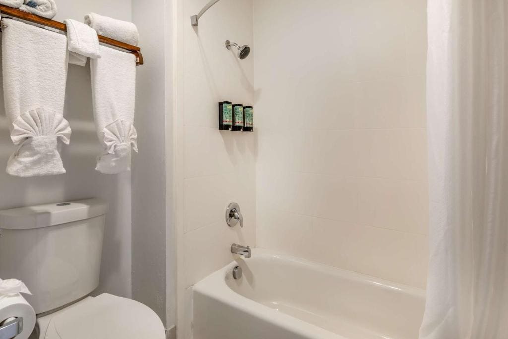 King Room with Bathtub - Mobility Access/Non-Smoking room - Image 3