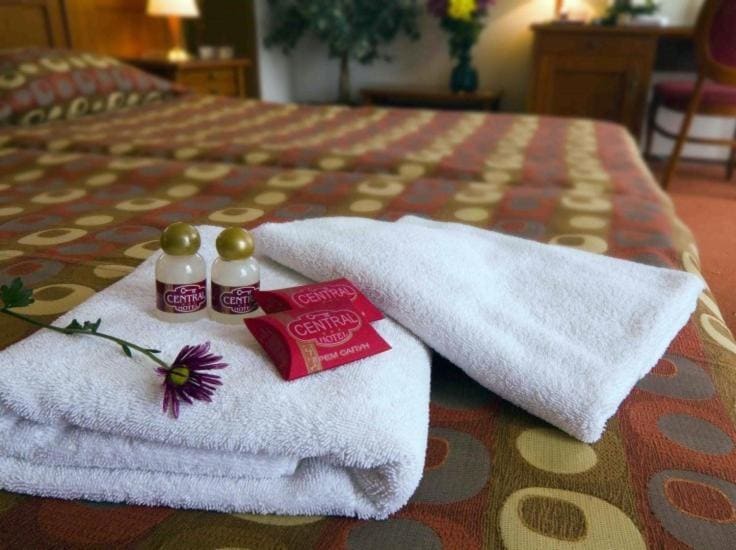 Double or Twin Room room - Image 2