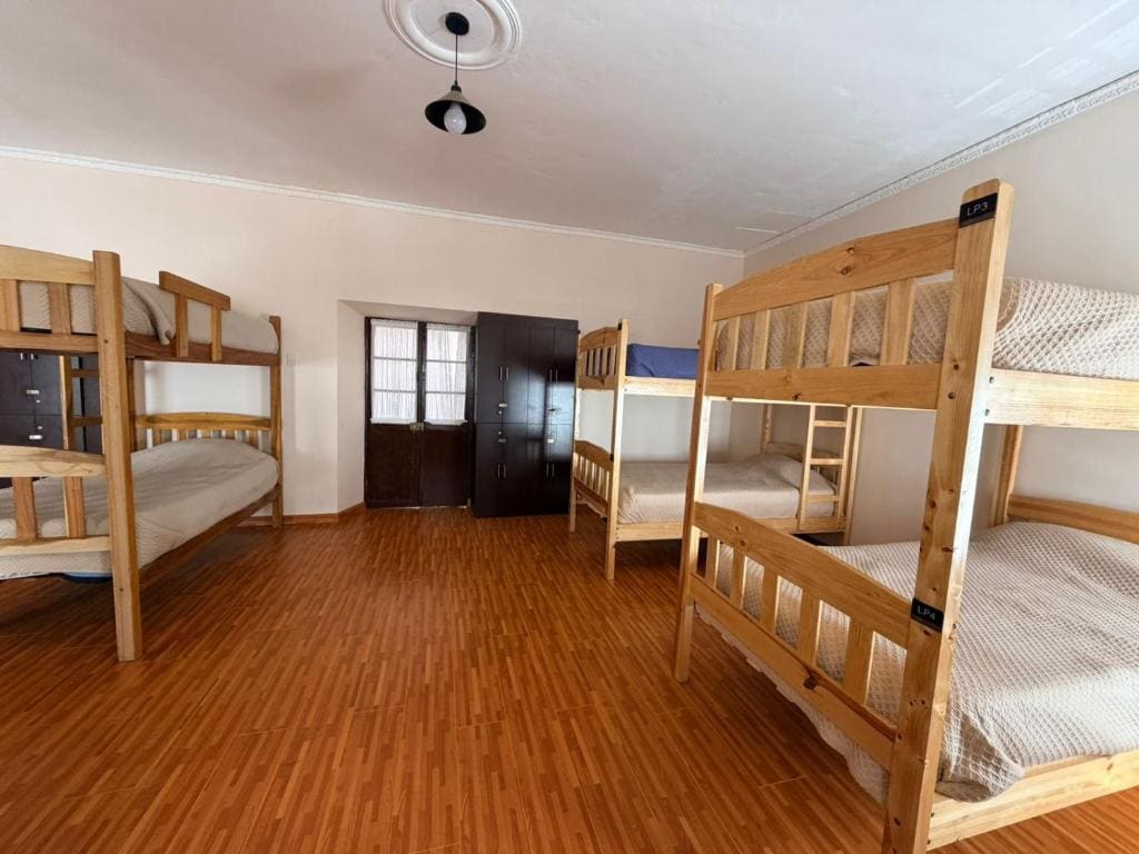 Bunk Bed in Mixed Dormitory Room room - Image 2