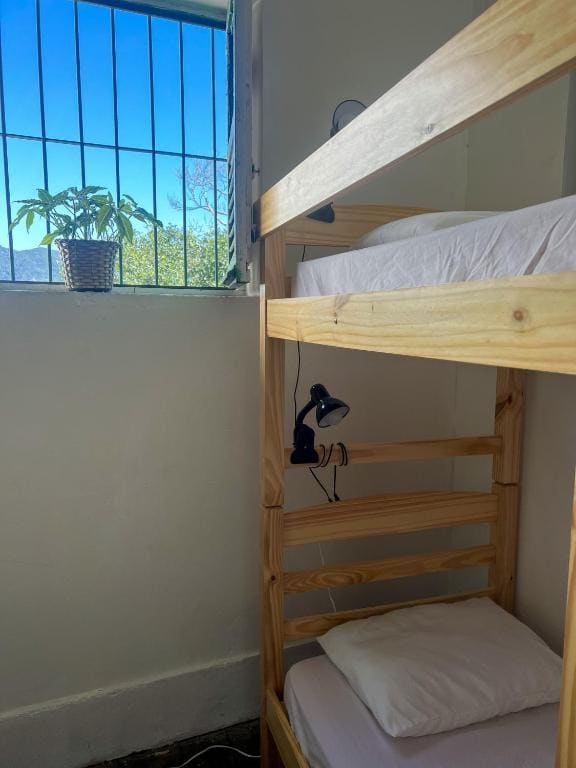 Single Bed in Mixed Dormitory Room room - Image 1