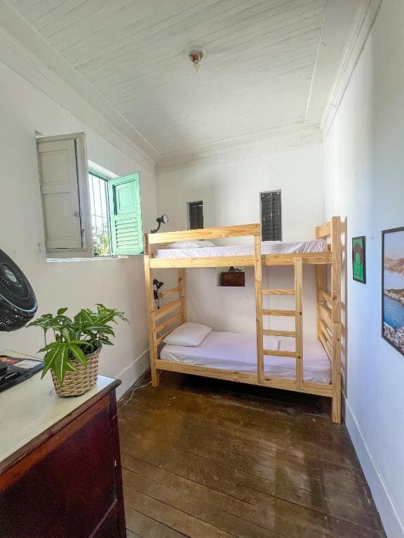 Single Bed in Mixed Dormitory Room room - Image 3