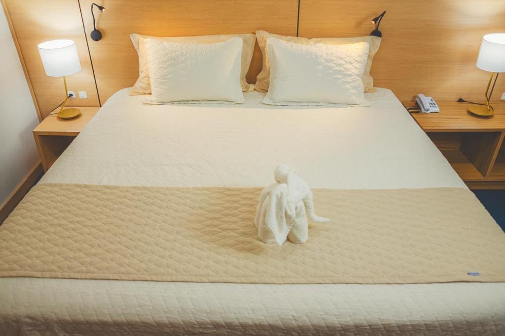 Large Double or Twin Room room - Image 2
