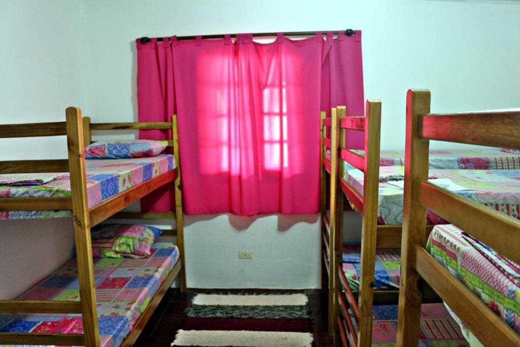 Bunk Bed in Mixed Dormitory Room room - Image 2