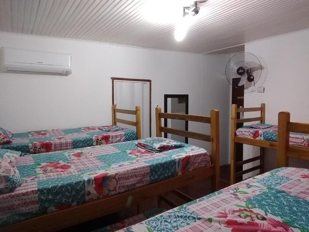 Bunk Bed in Mixed Dormitory Room room - Image 1