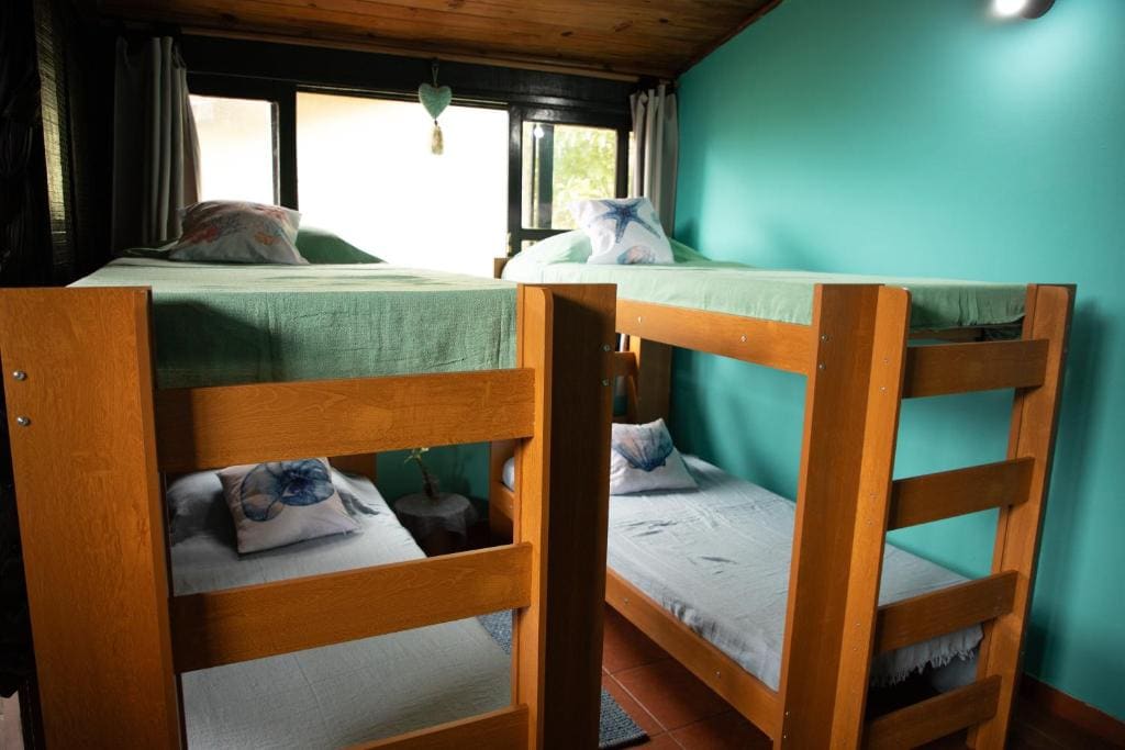 Bunk Bed in Mixed Dormitory Room room - Image 3