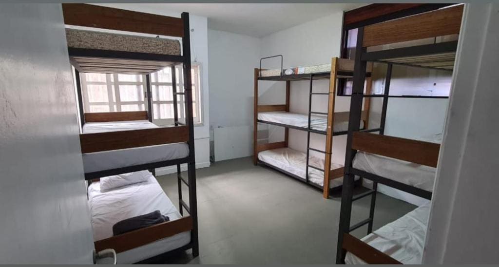 Bunk Bed in Mixed Dormitory Room room - Image 1