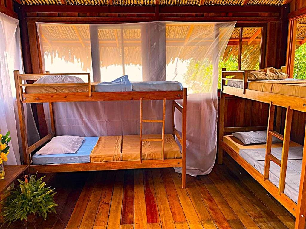 Bunk Bed in Mixed Dormitory Room room - Image 3