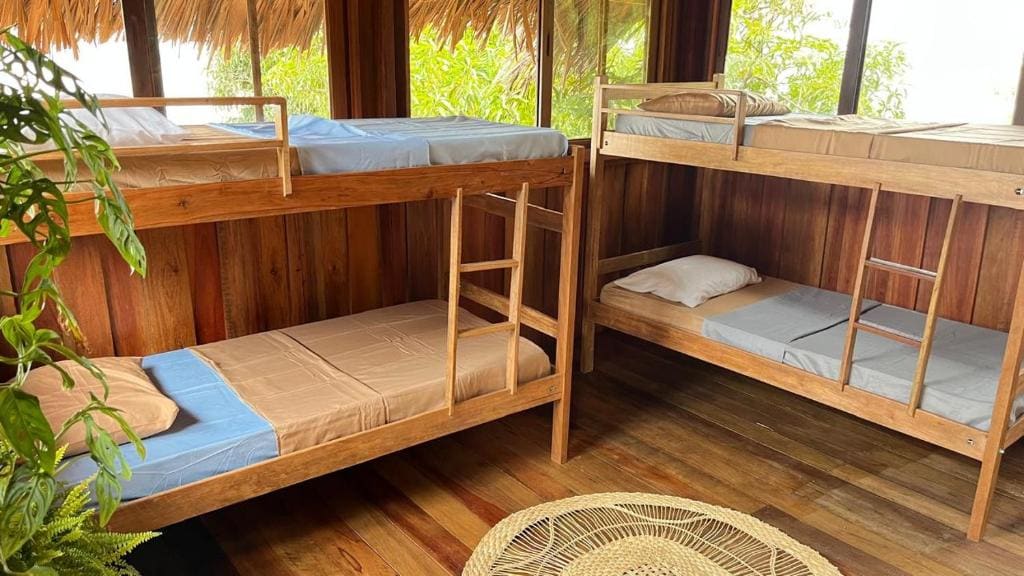 Bunk Bed in Mixed Dormitory Room room - Image 1