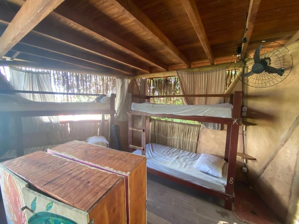 Bunk Bed in Mixed Dormitory Room room - Image 1