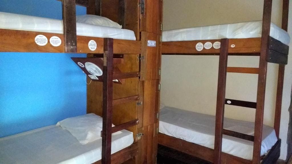 Bed in 8-Bed Male Dormitory Room room - Image 2