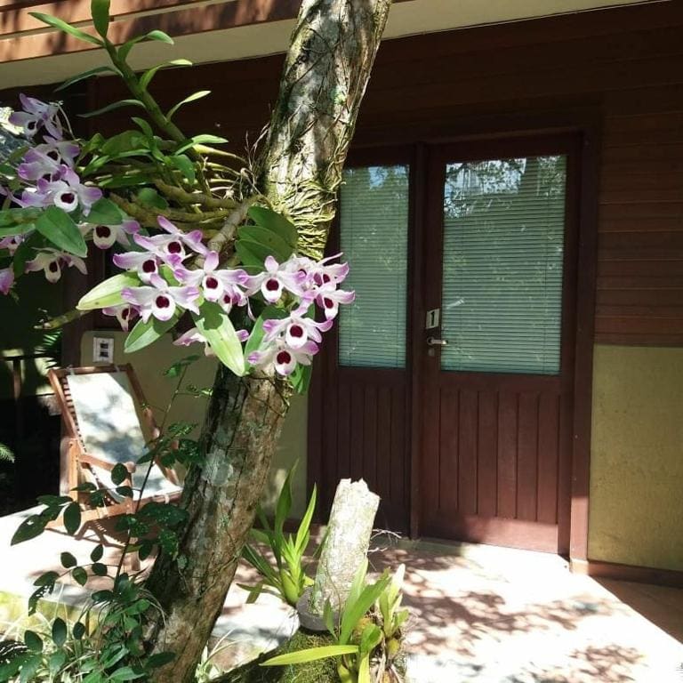 Standard Suite room - Image 3