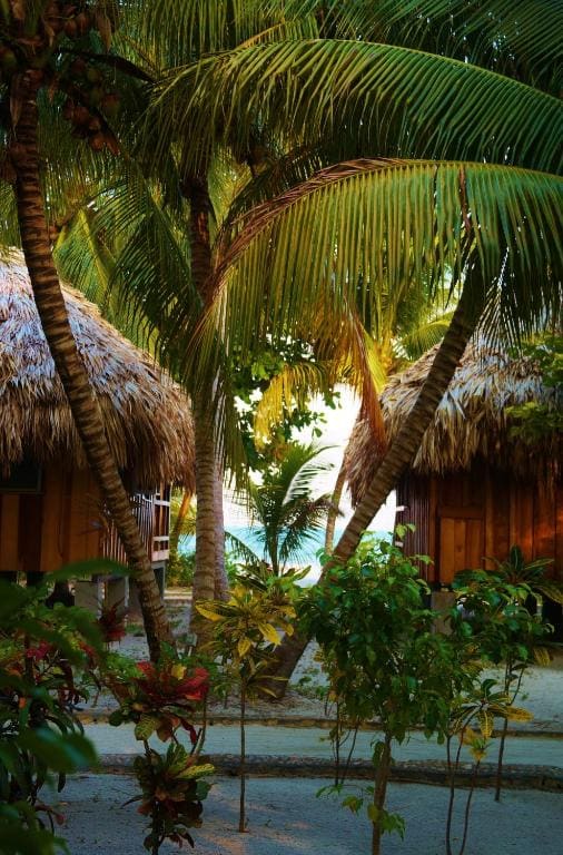 Bungalow with Garden View room - Image 1