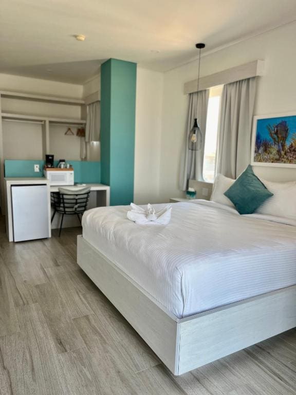 Studio with Ocean View room - Image 2