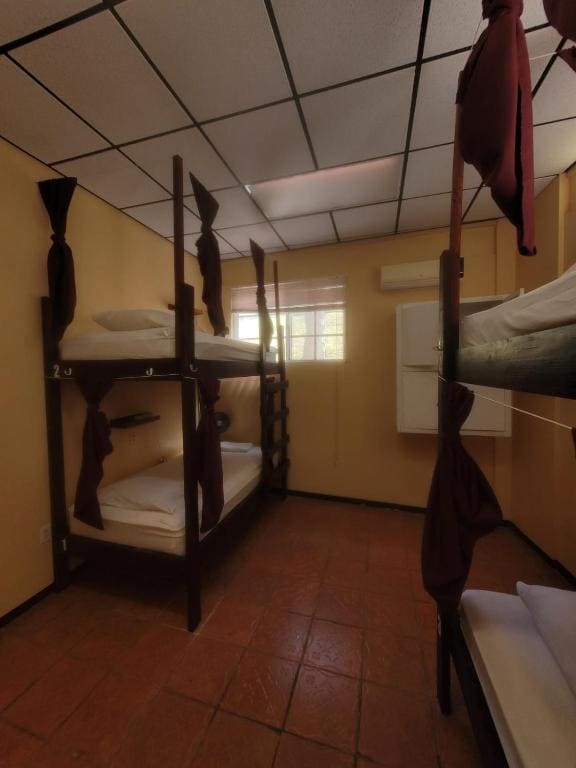 Bed in 4-Bed Mixed Dormitory Room room - Image 3