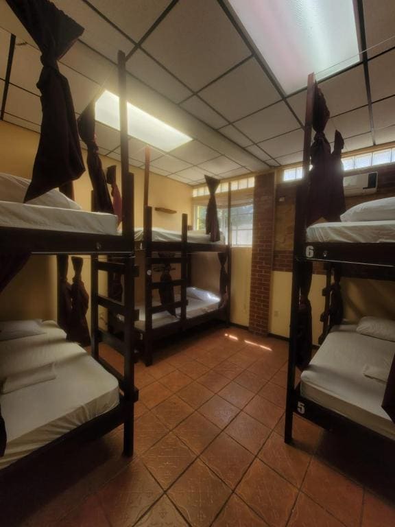 Bed in 6-Bed Dormitory Room room - Image 2