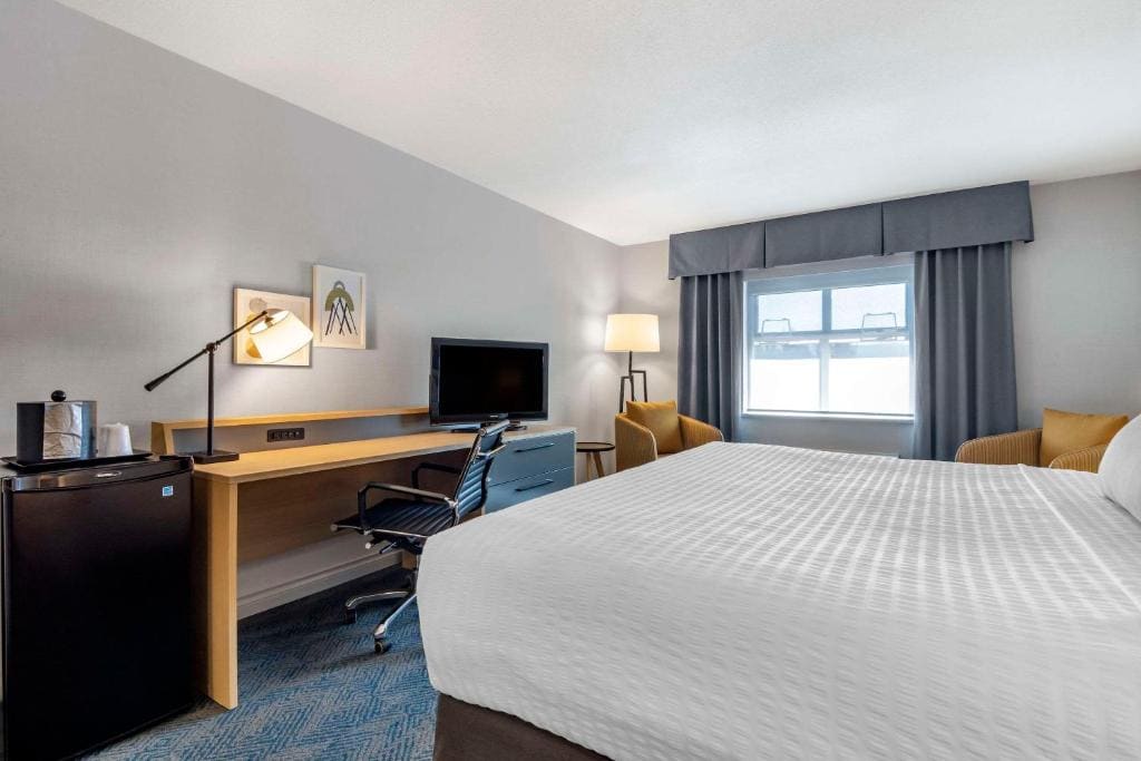 King Room - Disability Access room - Image 1