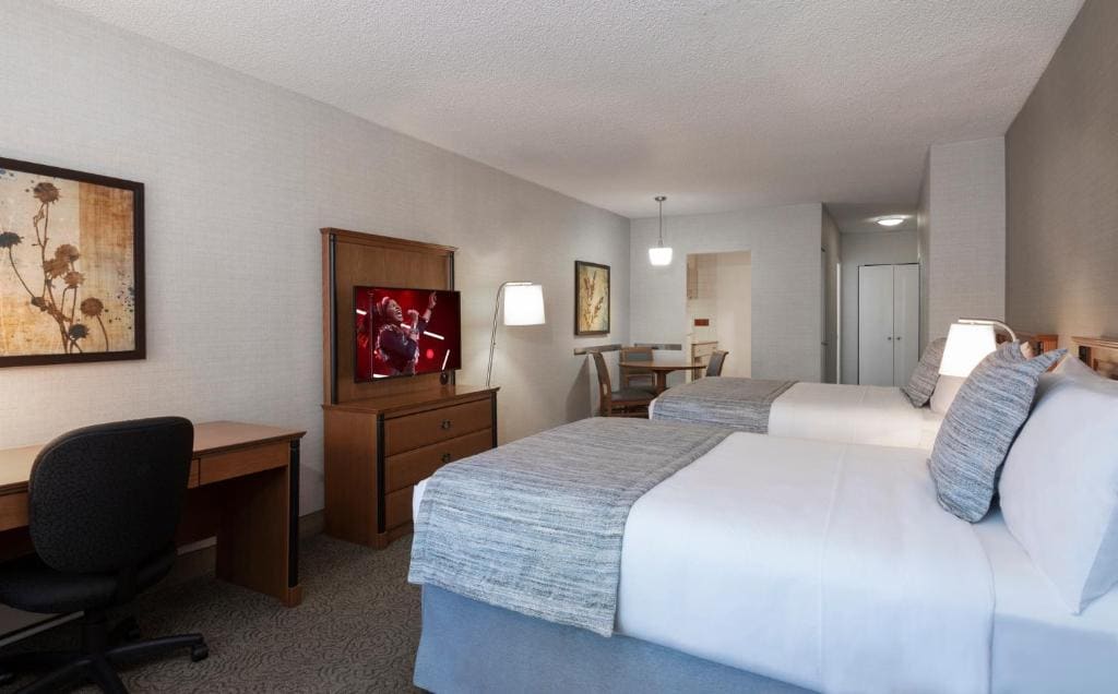 Two Double Beds Studio room - Image 1
