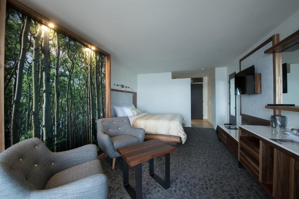 Superior Room 1 Queen bed and 1 Murphy bed Balcony and River View room - Image 2
