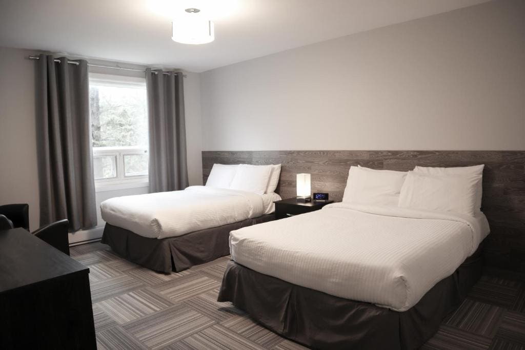 Large Double Room room - Image 1