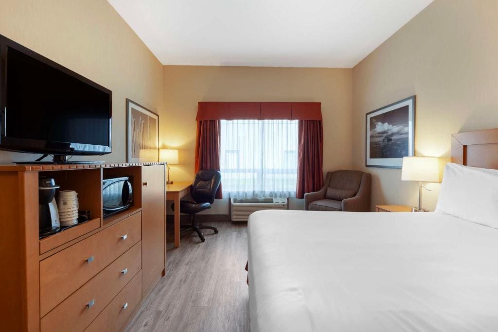Queen Room with Roll-In Shower - No Pets Allowed/Disability Access/Non-Smoking room - Image 1
