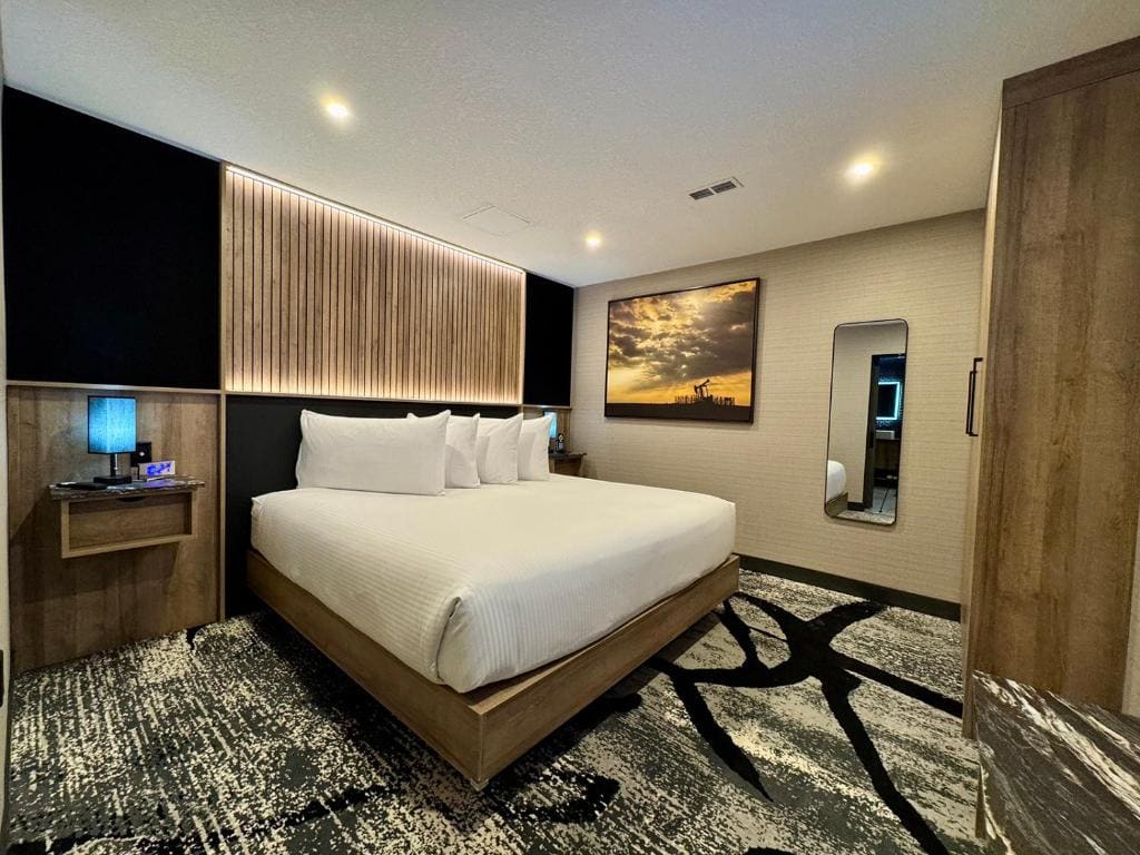 Executive Suite room - Image 1