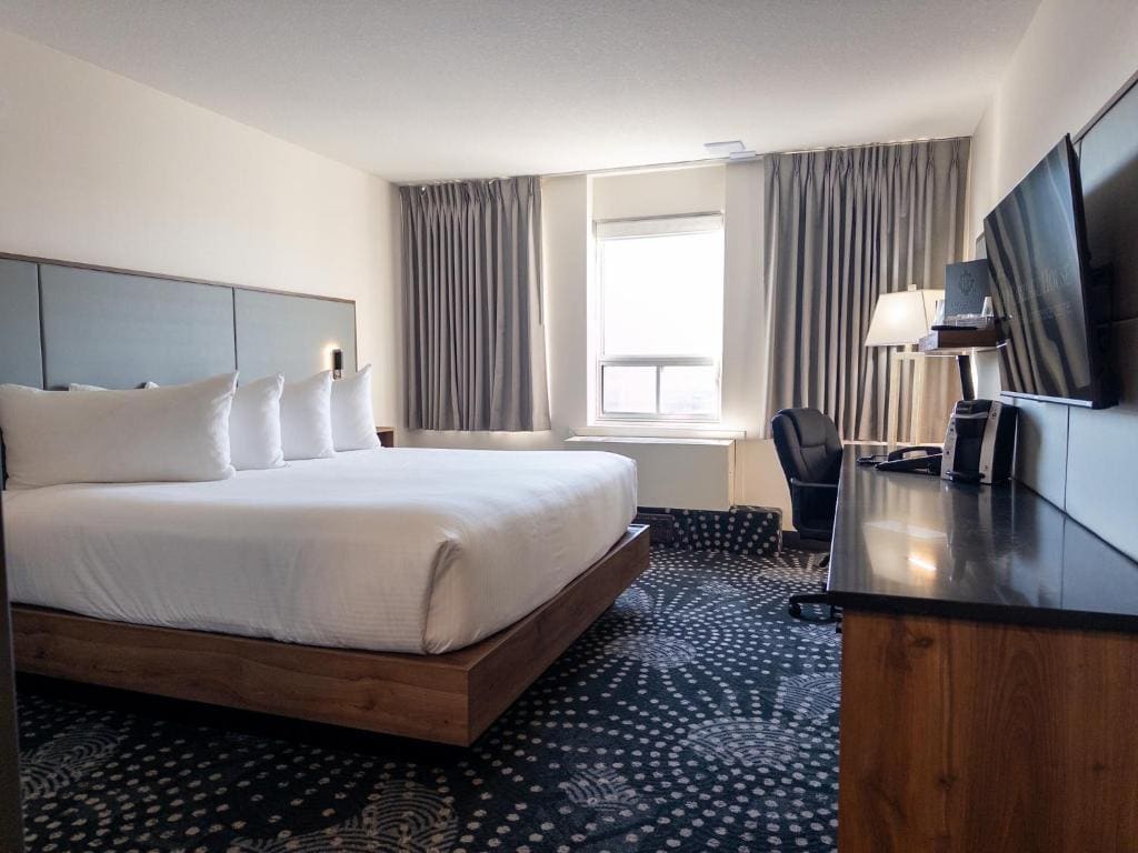Standard One King - Newly Renovated room - Image 1