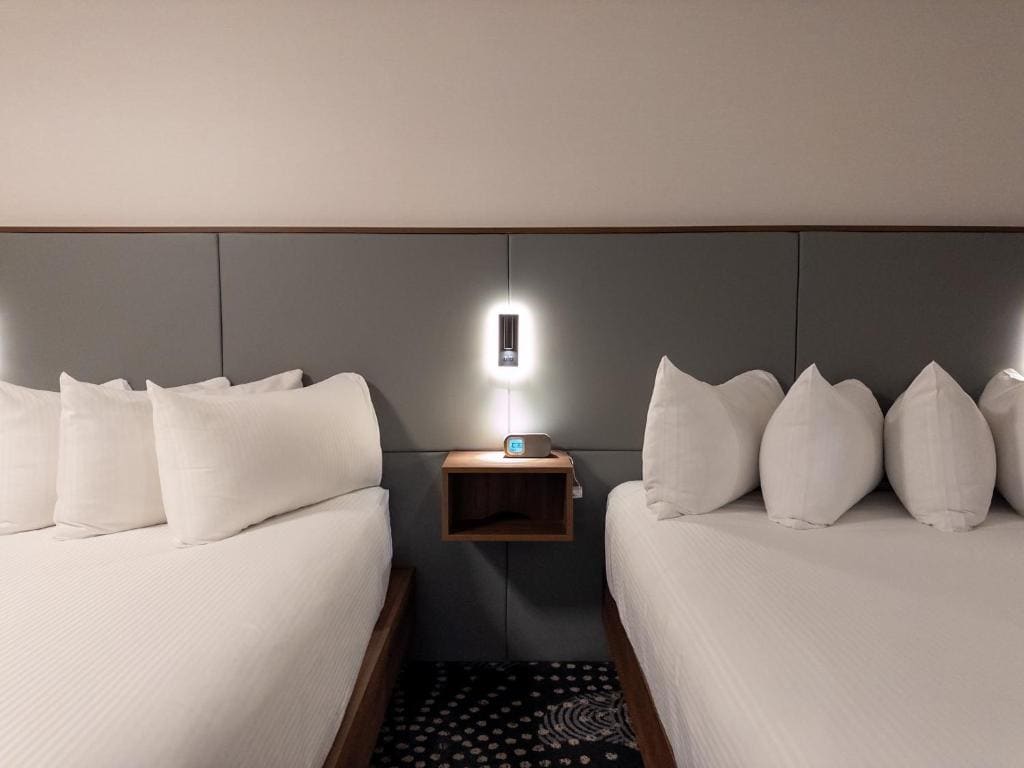 Standard Two Queen - Newly Renovated room - Image 2