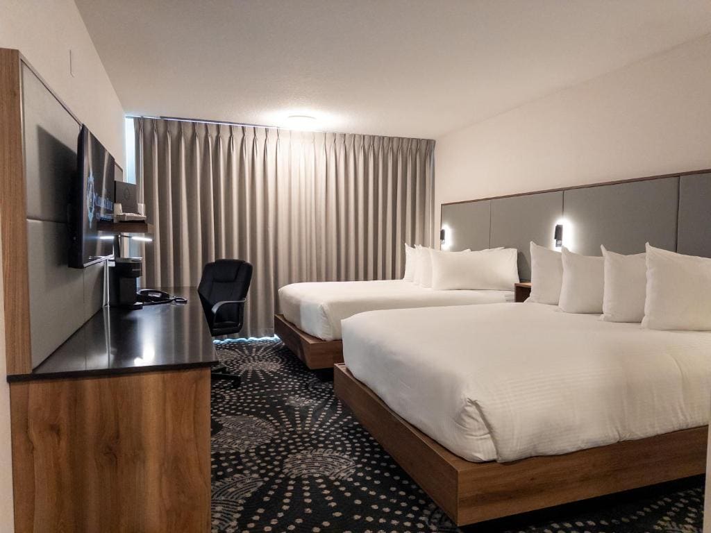 Standard Two Queen - Newly Renovated room - Image 1