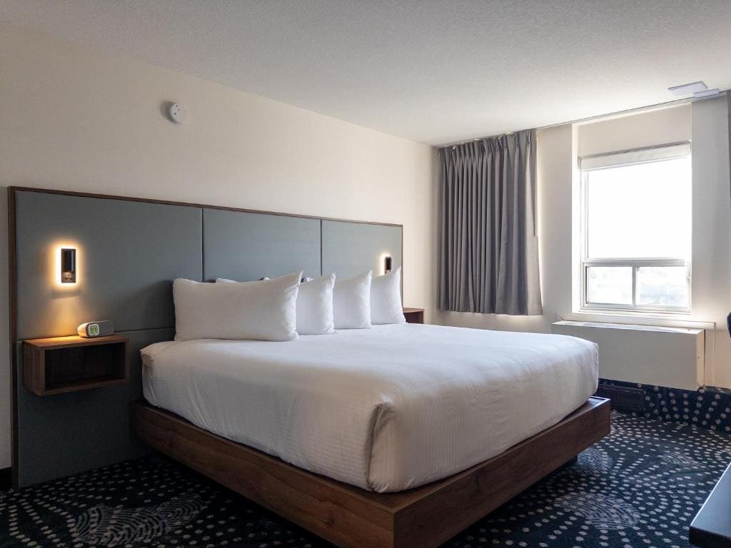 Standard One King - Newly Renovated room - Image 3