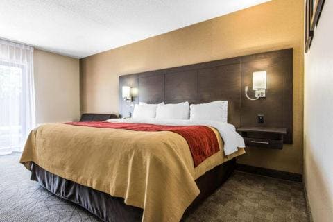 King Room - Non-Smoking room - Image 3
