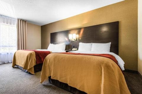 Queen Room with Two Queen Beds - Non-Smoking room - Image 1