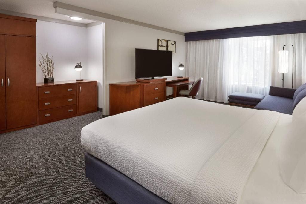Junior King Suite with Kitchenette and Sofa Bed room - Image 1