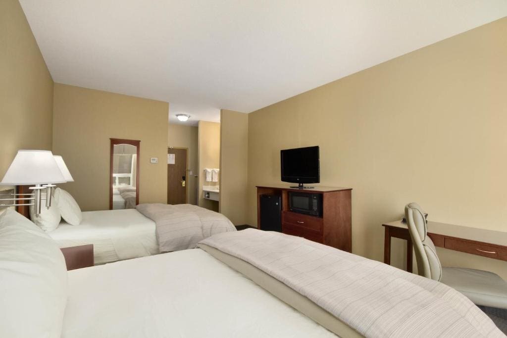 Queen Room with Two Queen Beds - Pet Friendly room - Image 3